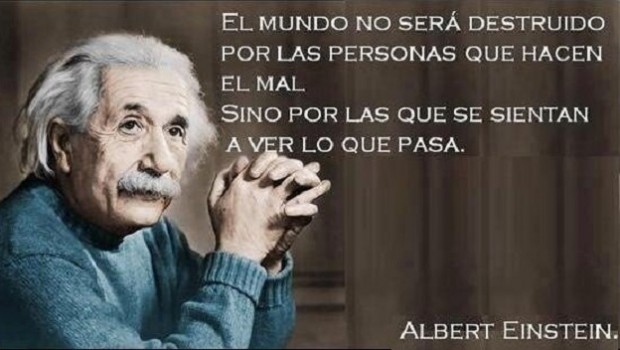 albert bip albert bip