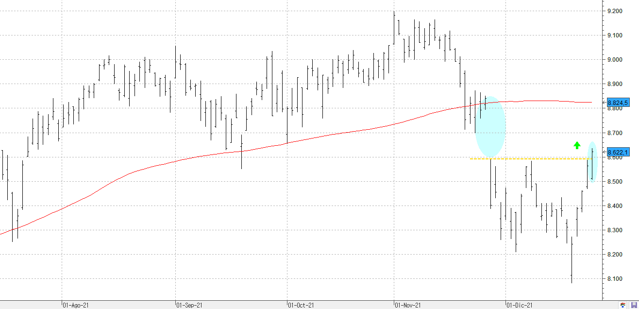 c271221ibex