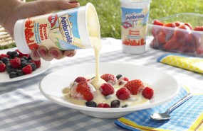 Premier Foods, Ambrosia custard Premier Foods, Ambrosia custard