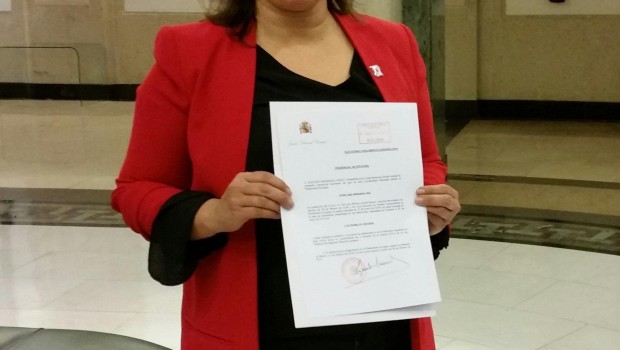 ep ana miranda del bng concredencialeurodiputada