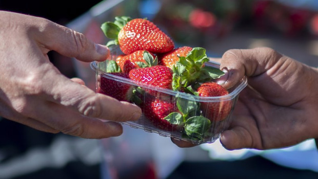 ep caja de fresas