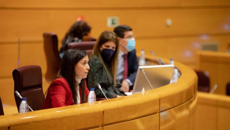 La presidenta de REE, Beatriz Corredor, en el Senado | REE ep la presidenta de ree beatriz corredor en el senado