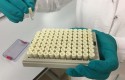 ep laboratorio 20180222191902 ep laboratorio 20180222191902