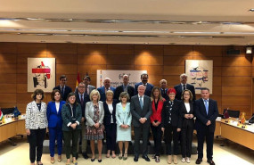 ep ministra de sanidad y consejeros de las ccaa en el consejo interterritorial del sistema nacional
