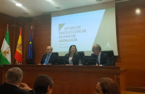 ep presentacion del aforo del olivar para la campana 2023 2024 ep presentacion del aforo del olivar para la campana 2023 2024