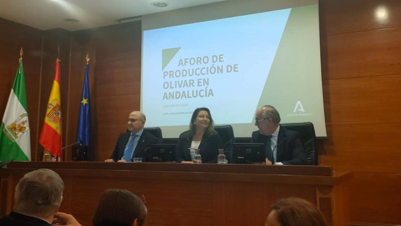 ep presentacion del aforo del olivar para la campana 2023 2024 ep presentacion del aforo del olivar para la campana 2023 2024
