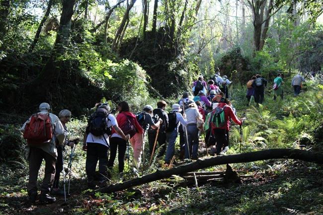 Salidas por la naturaleza de Bosques de Cantabria | ASOCIACIÓN CULTURAL BOSQUES DE CANTABRIA ep salidasla naturalezabosquescantabria