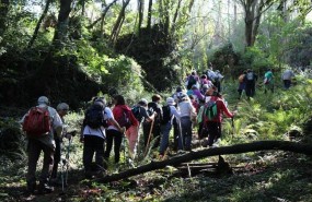 ep salidasla naturalezabosquescantabria