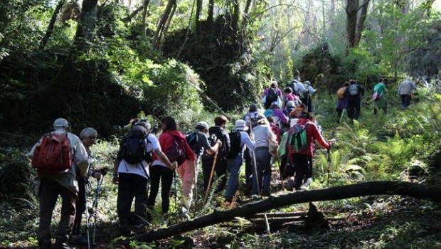 ep salidasla naturalezabosquescantabria