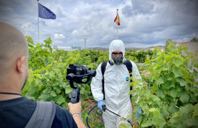 neval ensayos 20240111124554 