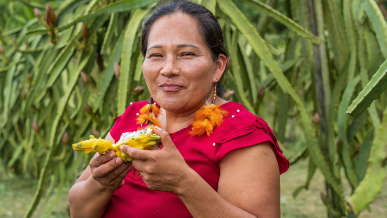 pitahaya 71 de 175 20250123114917 