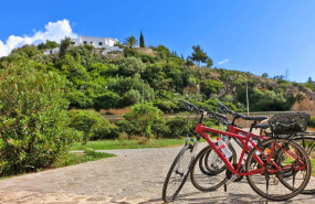 restaura posidonia ibiza 10801080px 19201080px 6 20240903114926 restaura posidonia ibiza 10801080px 19201080px 6 20240903114926