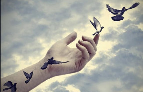 1612690138 oveja 1612690138 oveja