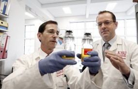 GSK, drugs, lab GSK, drugs, lab