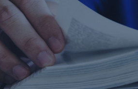 bg slider 20240122141135 bg slider 20240122141135