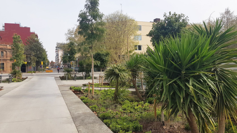 copisa 20260225190516 