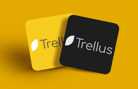 dl trellus health aim logo healthcare clinical research methodology support digital technology system logo dl trellus health aim logo healthcare clinical research methodology support digital technology system logo