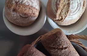 ep archivo   panes sin gluten