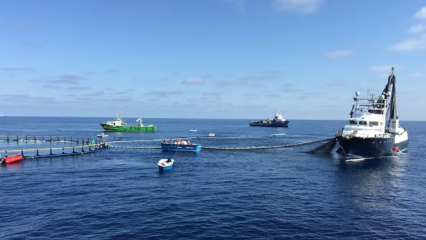 ep archivo piscinas de acuicultura de atunes de balfego ep archivo piscinas de acuicultura de atunes de balfego