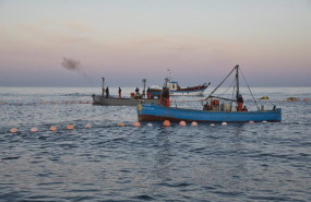 ep archivo   varios pescadores durante la levanta del atun en las inmediaciones de barbate a 27 de