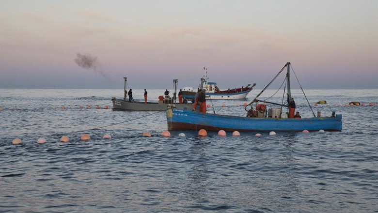 ep archivo   varios pescadores durante la levanta del atun en las inmediaciones de barbate a 27 de