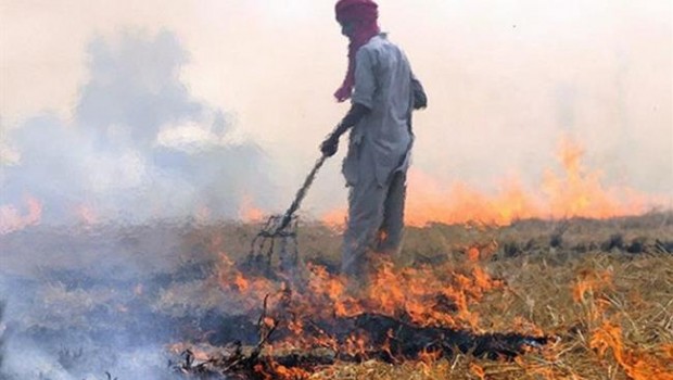 ep estocolmo- la quemaresiduoscultivos contribuyela contaminaciona