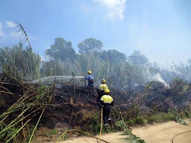 Extinción de un Incendio forestal en Blanes | PICASA ep extincionun incendio forestalblanes