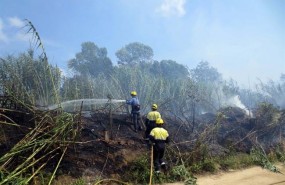 ep extincionun incendio forestalblanes