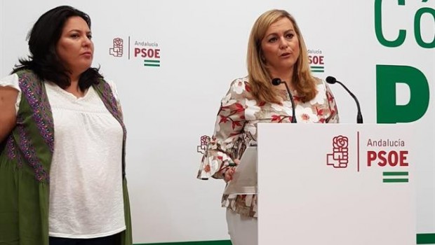 ep la secretariapolitica municipalpsoe-a maria jesus serrano 20180708143508