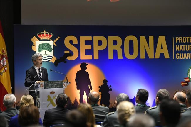 Marlaska preside el acto conmemorativo del 30º Aniversario del SEPRONA | ÓSCAR DEL POZO/EUROPA PRESS ep marlaska presideacto conmemorativo30 aniversarioseprona