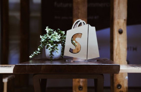ep programa global de erp de shopify