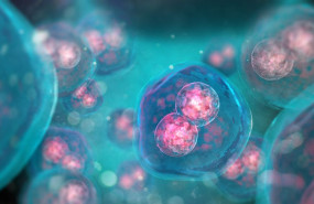 1577698937 shutterstock291810674