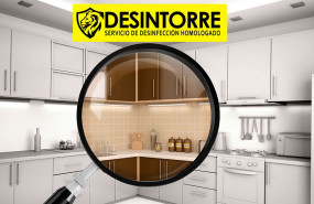 1614337903 eliminacion de plagas domesticas que insectos habitan las casas por desintorre