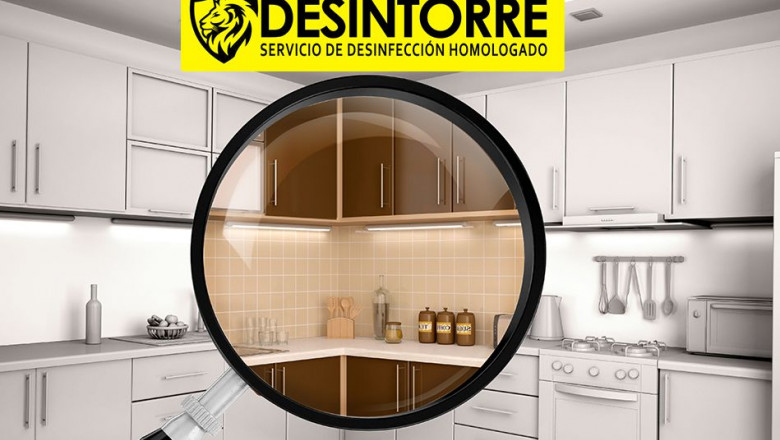 1614337903 eliminacion de plagas domesticas que insectos habitan las casas por desintorre