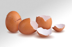 bifeedoo piensoecologicocascaradura bifeedoo piensoecologicocascaradura