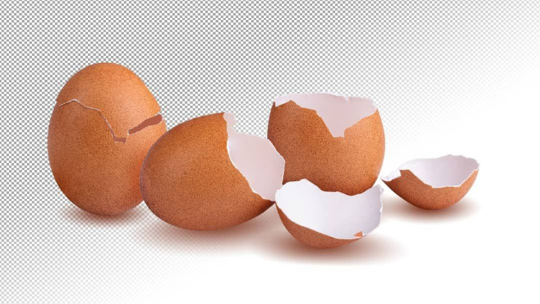 bifeedoo piensoecologicocascaradura