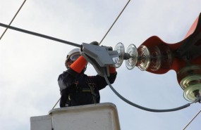 ep 3m desarrollasistema avifauna para evitarelectrocucionaves