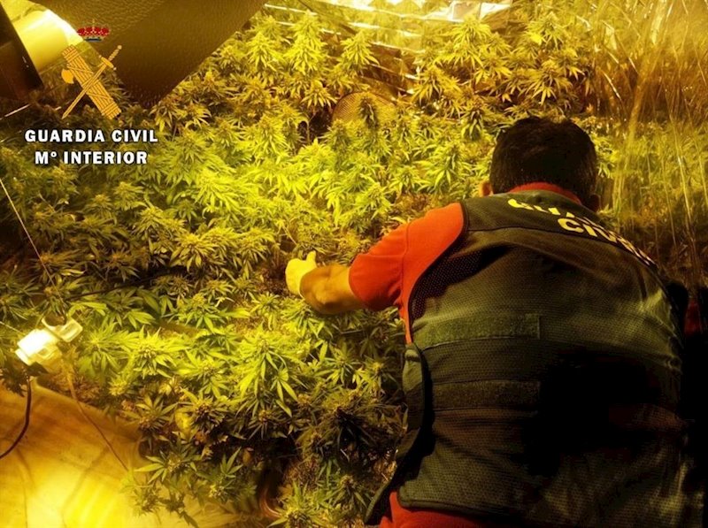ep cultivo de marihuana localizado en una vivienda de roquetas de mar almeria ep cultivo de marihuana localizado en una vivienda de roquetas de mar almeria