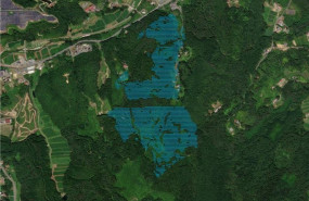 ep edp 20260410115910