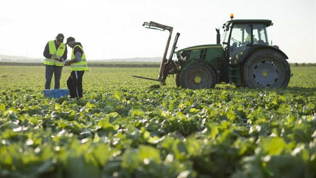 ep florette inviertede tres milloneseurosdigitalizartecnicascultivo