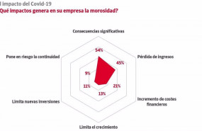 ep grafico de satisfaccion del impago