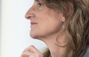 ep la vicepresidenta tercera y ministra para la transicion ecologica y el reto demografico teresa 20220331152105