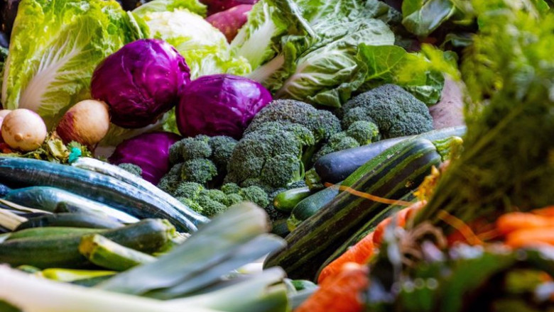 Verduras | SEDYN Y CGCODN ep verduras 20210805185404