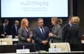 ep zoidojai