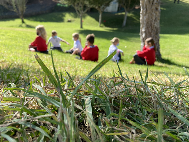 1627971452 1243742574623037857767183 2360545162841092105 n