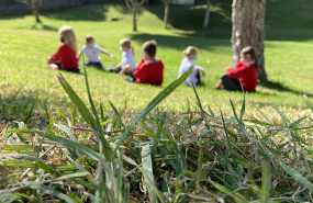 1627971452 1243742574623037857767183 2360545162841092105 n