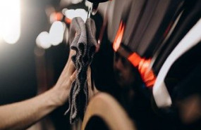 1630925766 protocolo covid concesionarios 1630925766 protocolo covid concesionarios