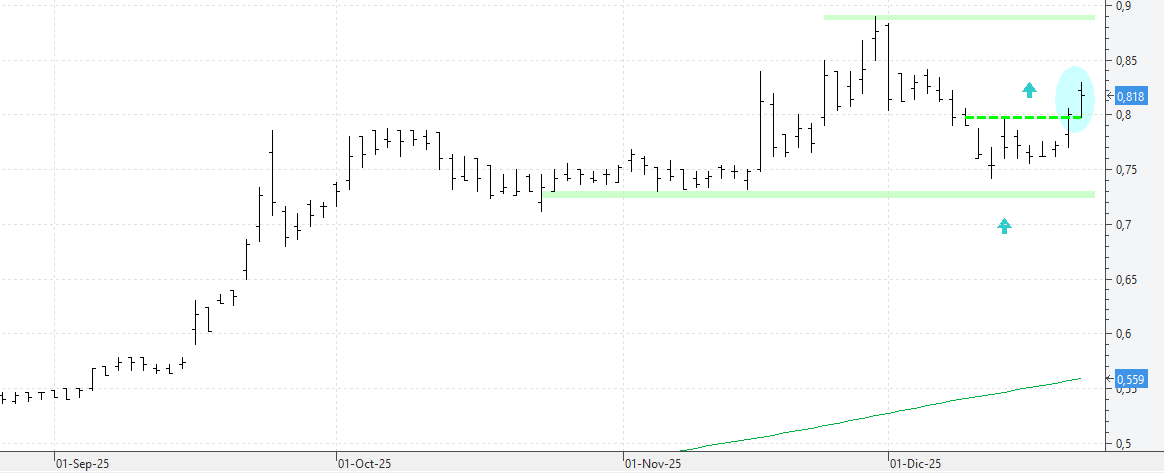 c221225nueva c221225nueva