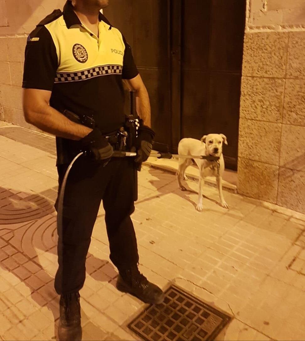 Denunciado el propietario de un perro por abandonarlo | AYUNTAMIENTO DE UTRERA ep denunciadopropietarioun perroabandonarlo