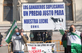 ep dos ganaderos de la organizacion opl del sur portan una pancarta en la que reclaman un precio